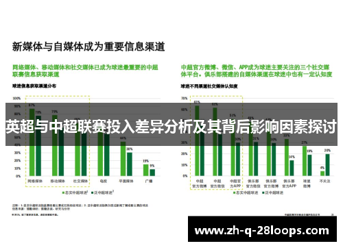 英超与中超联赛投入差异分析及其背后影响因素探讨