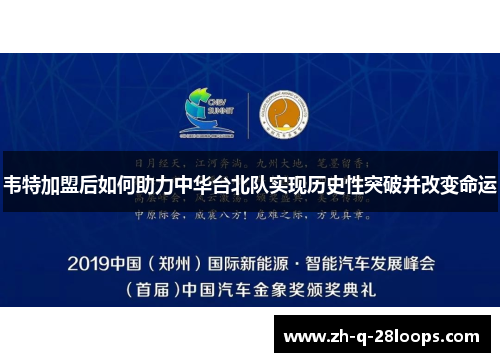 韦特加盟后如何助力中华台北队实现历史性突破并改变命运