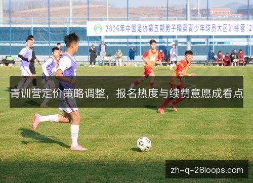青训营定价策略调整，报名热度与续费意愿成看点
